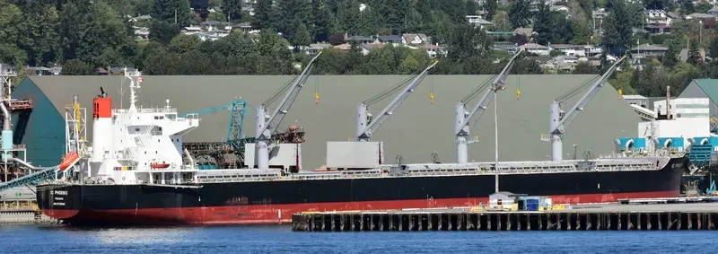 IC PHOENIX Bulk Carrier IMO 9738961 photo 3