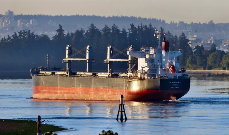 IC PHOENIX Bulk Carrier IMO 9738961 photo 4