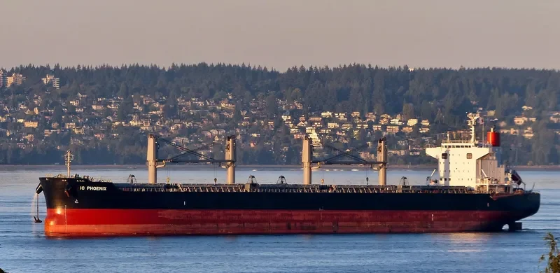 IC PHOENIX Bulk Carrier IMO 9738961 photo 5