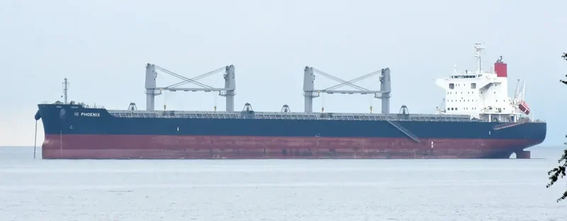 IC PHOENIX Bulk Carrier IMO 9738961 photo 7
