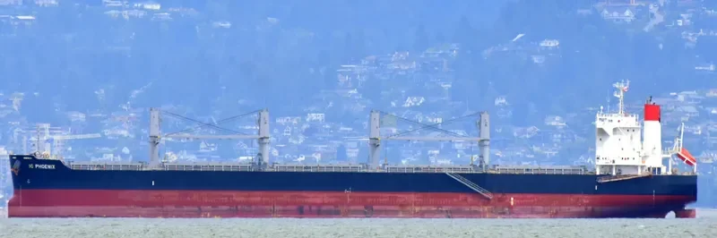 IC PHOENIX Bulk Carrier IMO 9738961 photo 8