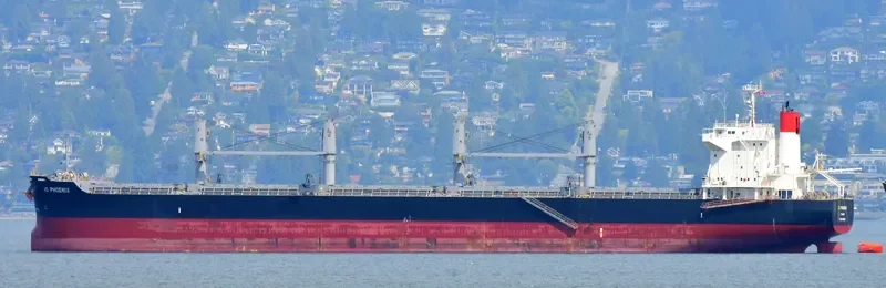 IC PHOENIX Bulk Carrier IMO 9738961 photo 9