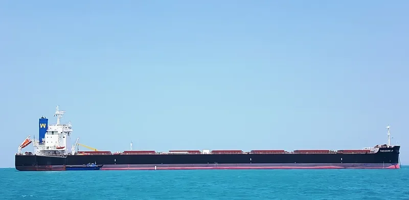THEODORE JR Bulk Carrier IMO 9739020
