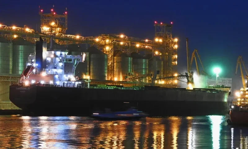 THEODORE JR Bulk Carrier IMO 9739020 photo 3