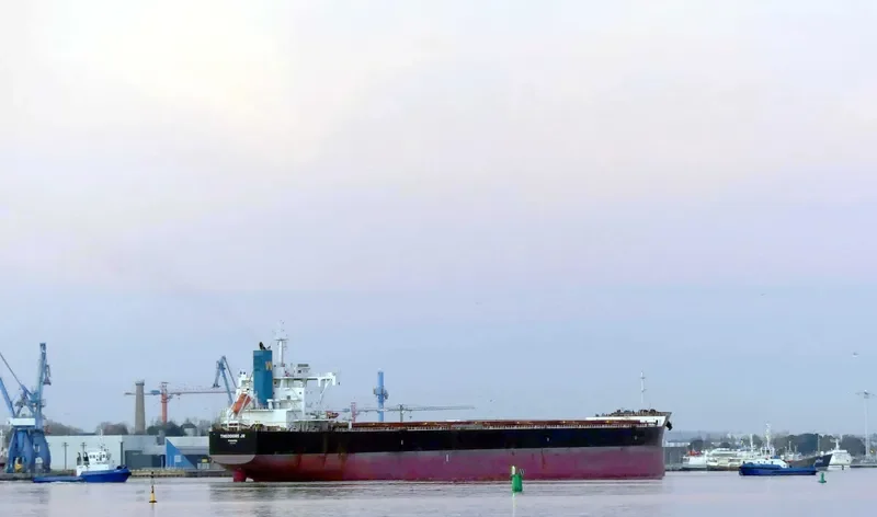 THEODORE JR Bulk Carrier IMO 9739020 photo 4