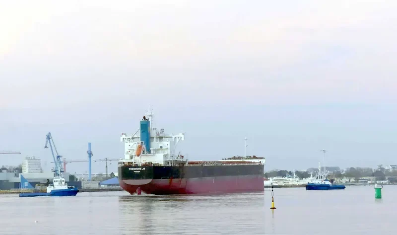 THEODORE JR Bulk Carrier IMO 9739020 photo 5