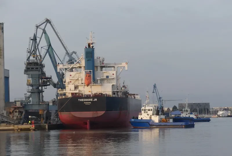 THEODORE JR Bulk Carrier IMO 9739020 photo 8