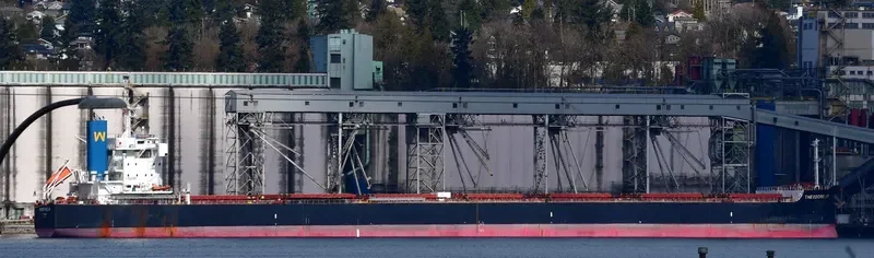 THEODORE JR Bulk Carrier IMO 9739020 photo 9