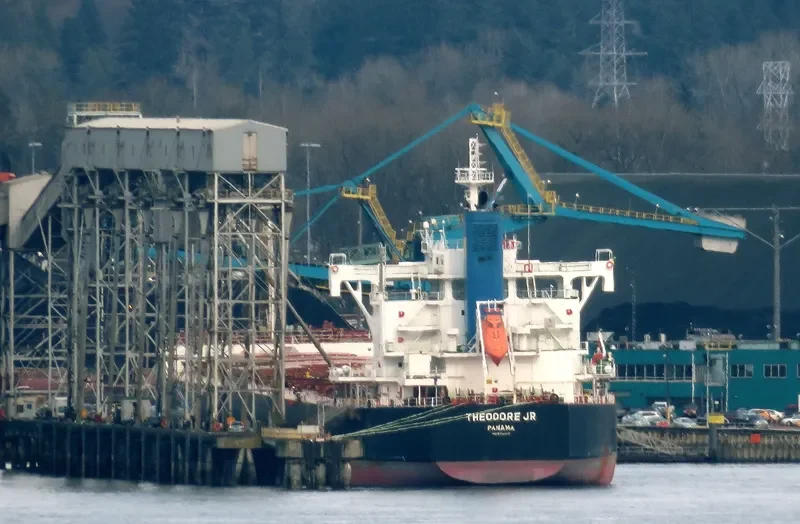 THEODORE JR Bulk Carrier IMO 9739020 photo 10