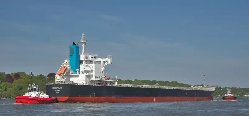 PLAINPALAIS Bulk Carrier IMO 9739032