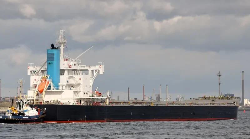 PLAINPALAIS Bulk Carrier IMO 9739032 photo 4