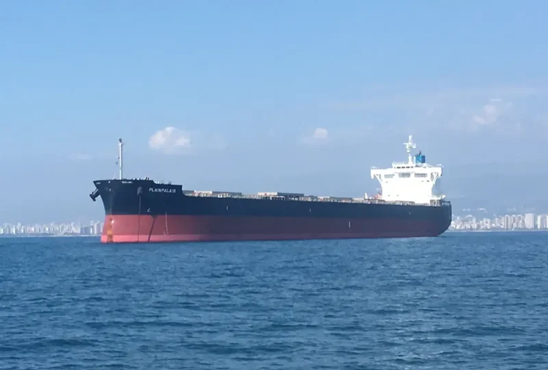 PLAINPALAIS Bulk Carrier IMO 9739032 photo 5