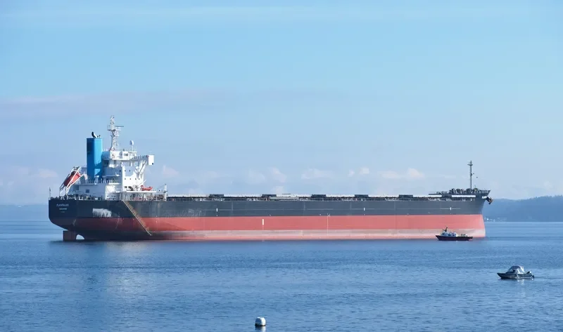 PLAINPALAIS Bulk Carrier IMO 9739032 photo 6