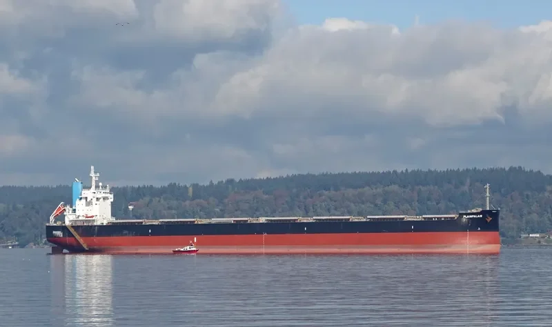 PLAINPALAIS Bulk Carrier IMO 9739032 photo 7