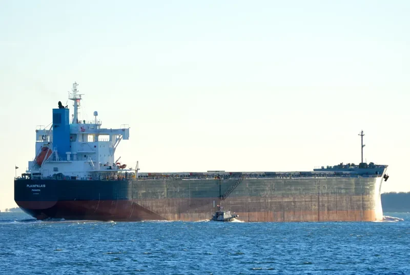 PLAINPALAIS Bulk Carrier IMO 9739032 photo 10