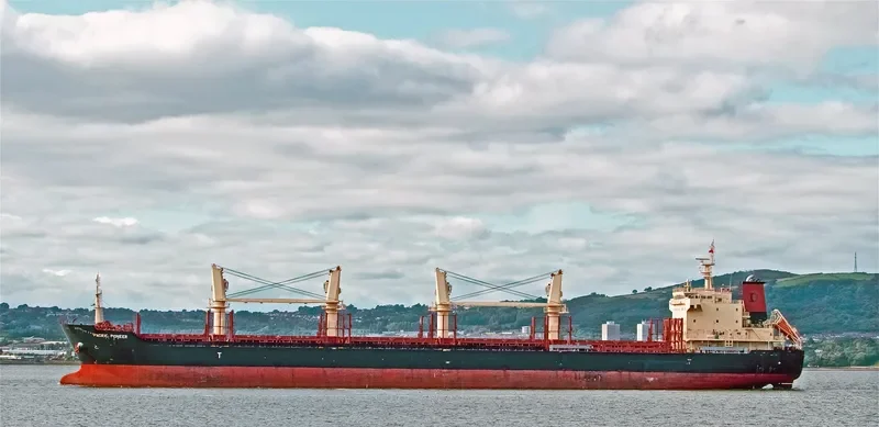 PACIFIC PIONEER Bulk Carrier IMO 9739082