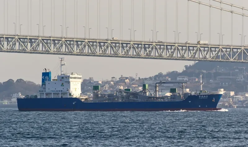 HIMAWARI Bulk Carrier IMO 9739094 photo 2