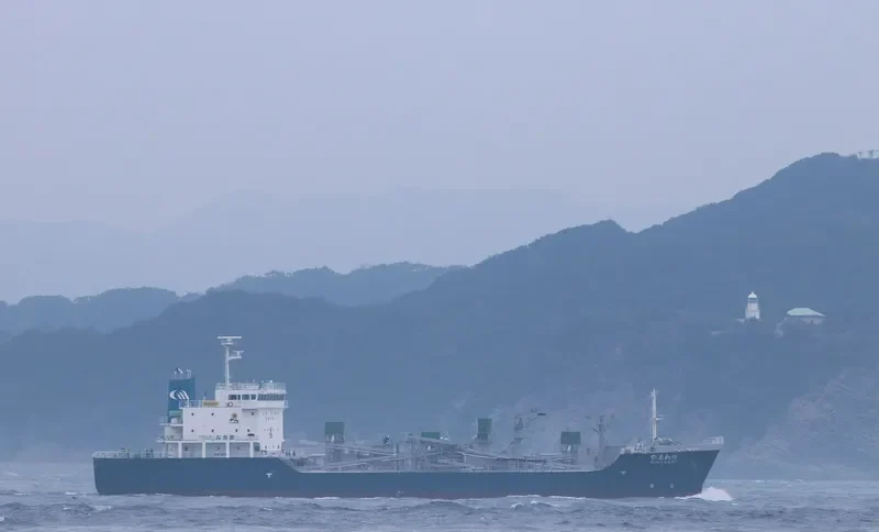HIMAWARI Bulk Carrier IMO 9739094 photo 3