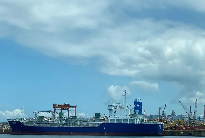 HIMAWARI Bulk Carrier IMO 9739094 photo 4