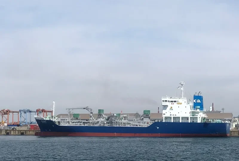 HIMAWARI Bulk Carrier IMO 9739094 photo 9