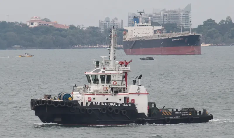 MARINA OPAL General Cargo IMO 9739226 photo 4