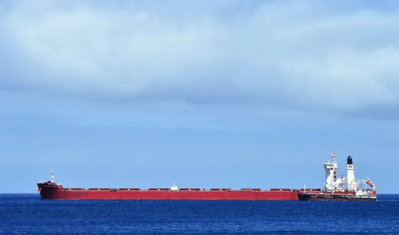 MARAN FUTURE Bulk Carrier IMO 9739240