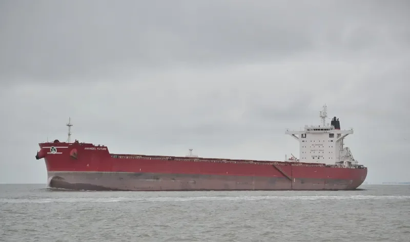 MARAN FUTURE Bulk Carrier IMO 9739240 photo 4