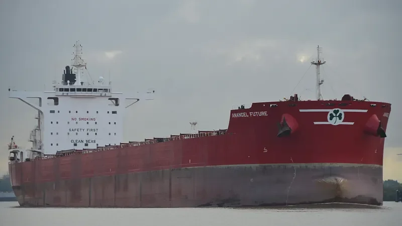 MARAN FUTURE Bulk Carrier IMO 9739240 photo 5