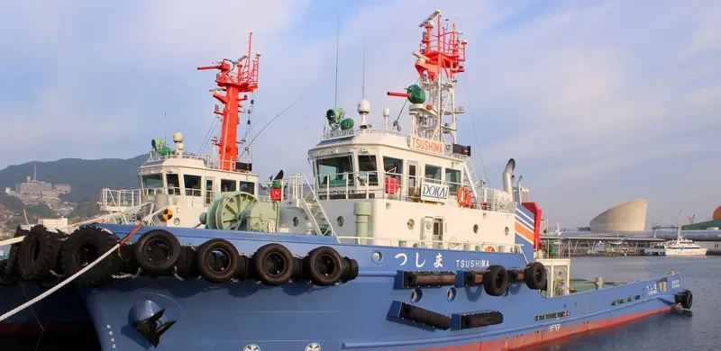 TSUSHIMA General Cargo IMO 9739745