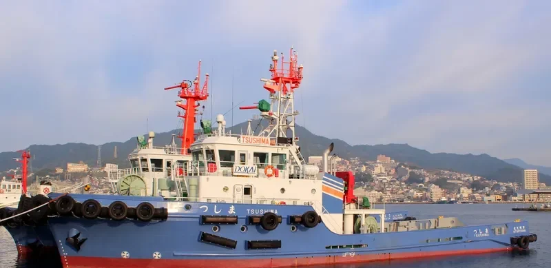 TSUSHIMA General Cargo IMO 9739745 photo 2