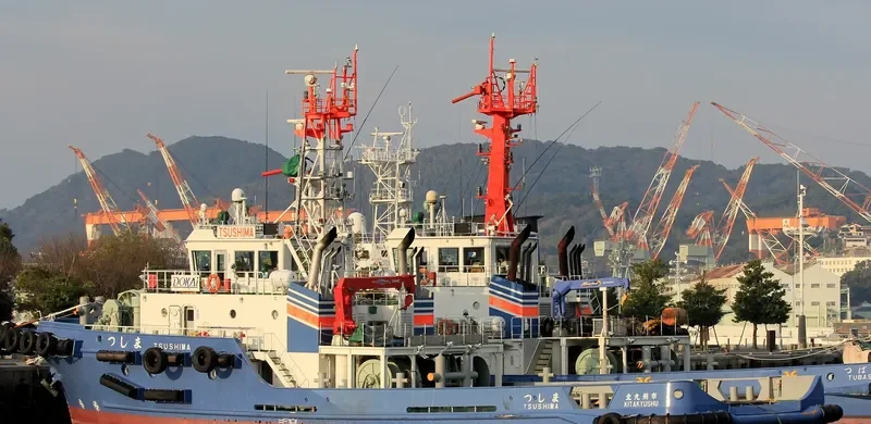 TSUSHIMA General Cargo IMO 9739745 photo 3
