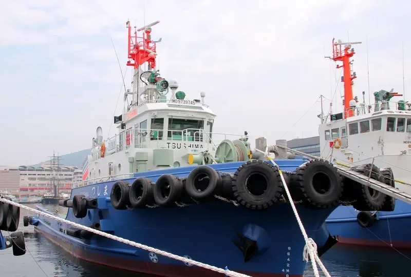 TSUSHIMA General Cargo IMO 9739745 photo 7