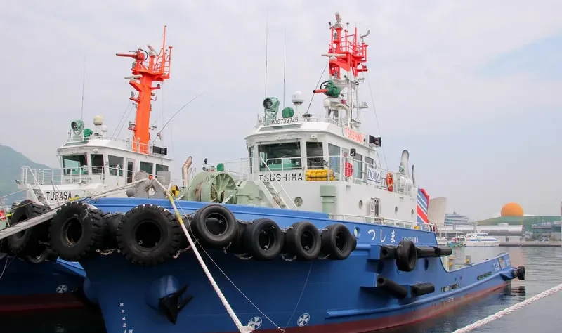 TSUSHIMA General Cargo IMO 9739745 photo 8