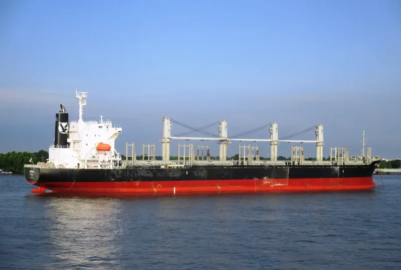 PEWEE Bulk Carrier IMO 9740160