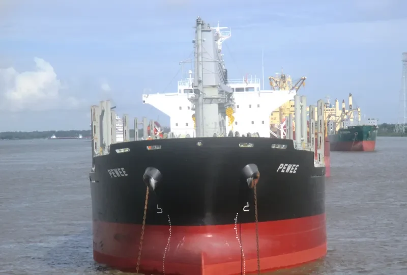 PEWEE Bulk Carrier IMO 9740160 photo 2