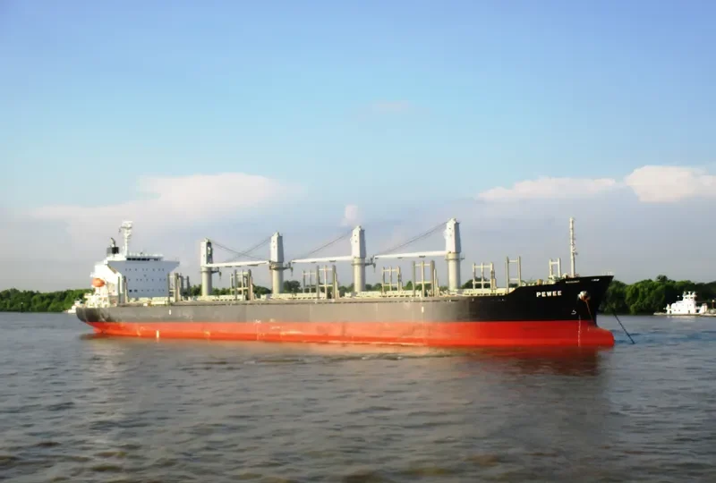 PEWEE Bulk Carrier IMO 9740160 photo 3