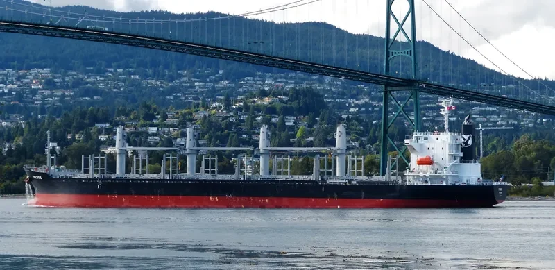 PEWEE Bulk Carrier IMO 9740160 photo 7
