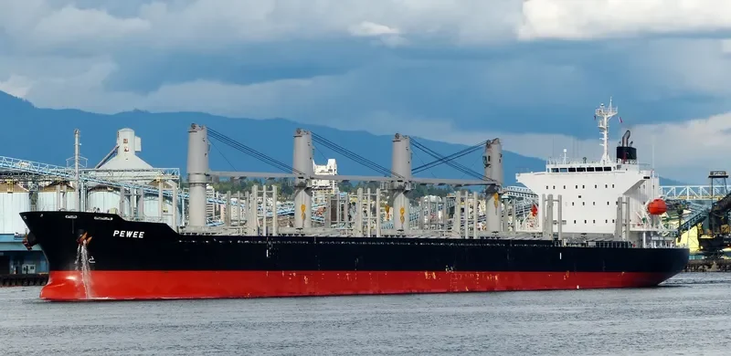 PEWEE Bulk Carrier IMO 9740160 photo 8