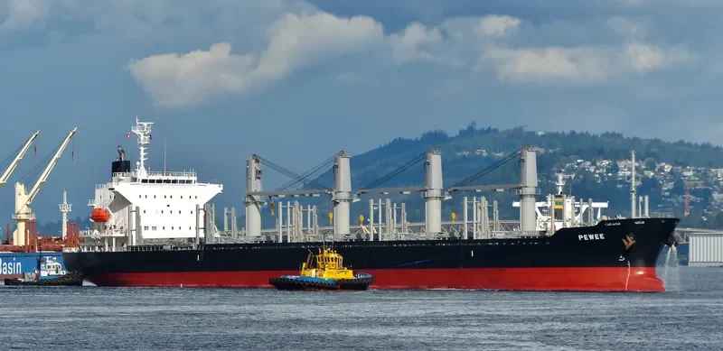 PEWEE Bulk Carrier IMO 9740160 photo 9