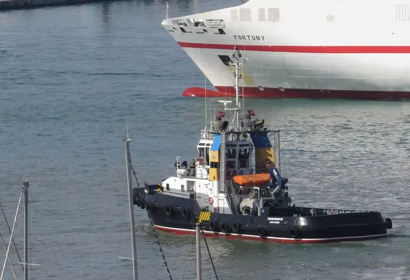 VEHINTINUEVE General Cargo IMO 9740392 photo 6