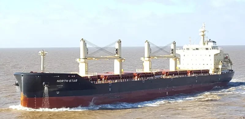 MEREL D Bulk Carrier IMO 9740433