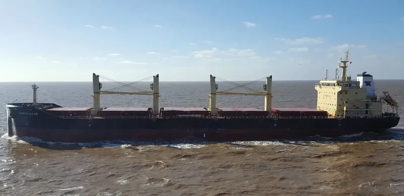 MEREL D Bulk Carrier IMO 9740433 photo 2