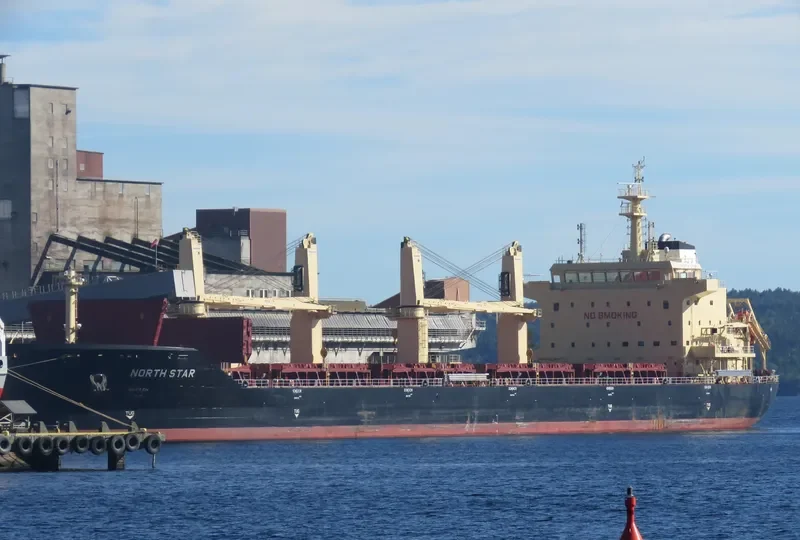 MEREL D Bulk Carrier IMO 9740433 photo 4