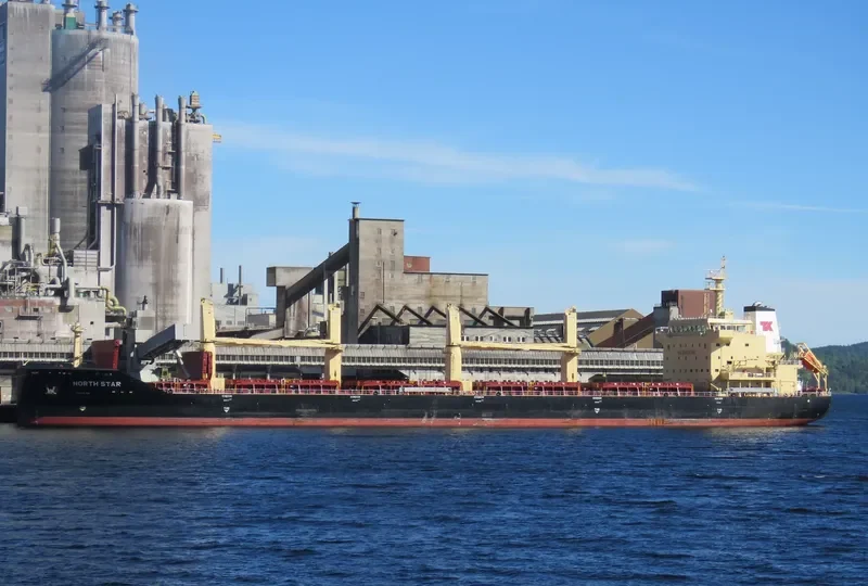 MEREL D Bulk Carrier IMO 9740433 photo 5