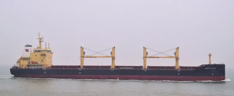 MEREL D Bulk Carrier IMO 9740433 photo 6