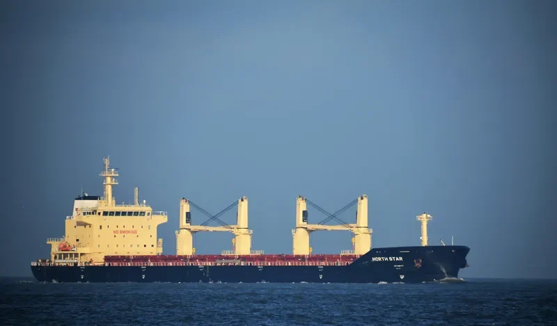 MEREL D Bulk Carrier IMO 9740433 photo 7