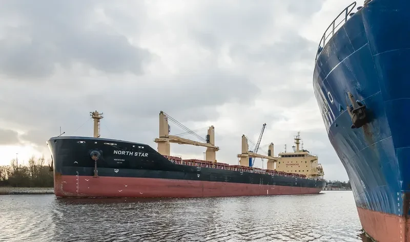 MEREL D Bulk Carrier IMO 9740433 photo 8