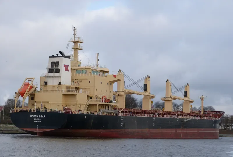 MEREL D Bulk Carrier IMO 9740433 photo 9