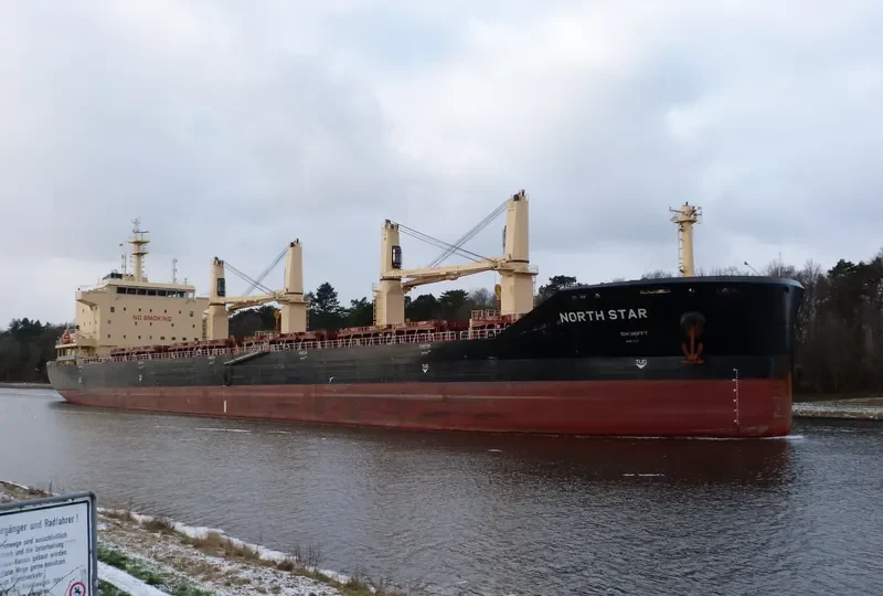 MEREL D Bulk Carrier IMO 9740433 photo 10