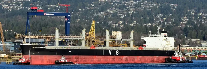 IVS NORTH BERWICK Bulk Carrier IMO 9740902